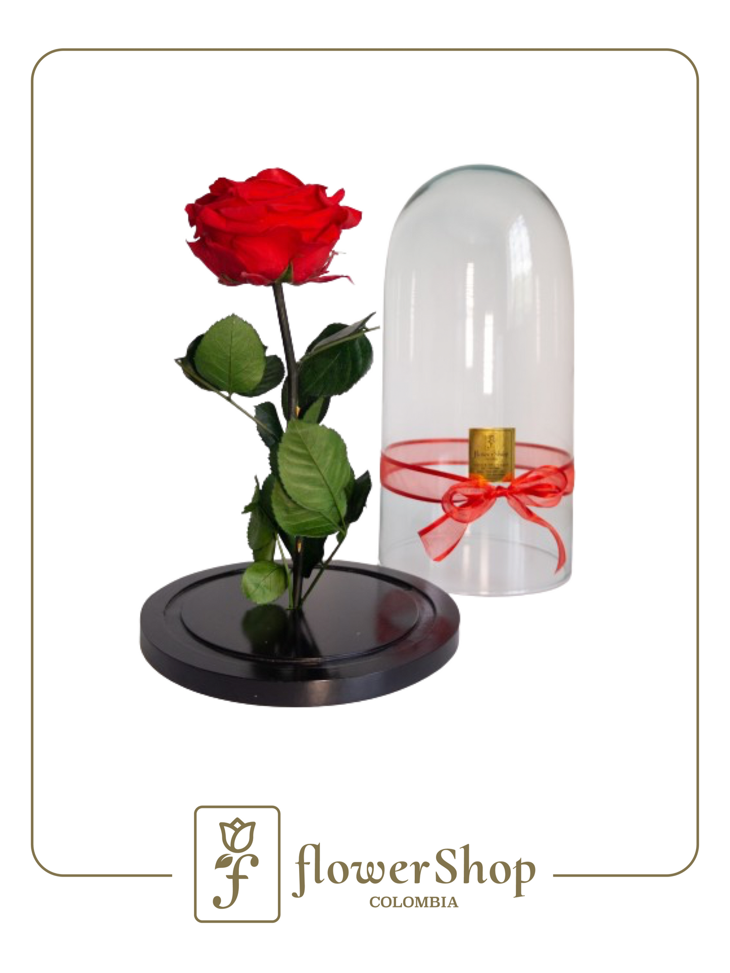 Rosa Eterna Roja