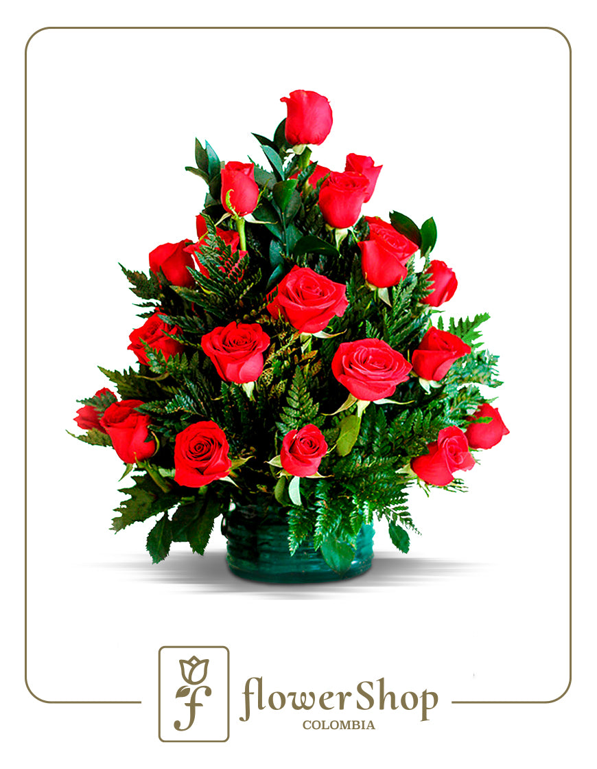 Rosas Gratitud x 48